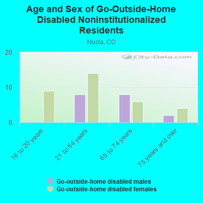 Age and Sex of Go-Outside-Home Disabled Noninstitutionalized Residents