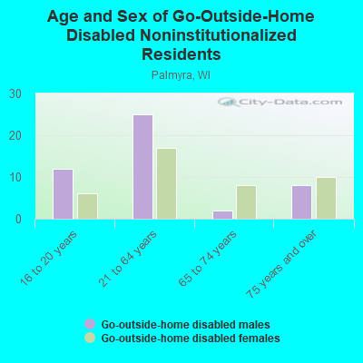 Age and Sex of Go-Outside-Home Disabled Noninstitutionalized Residents