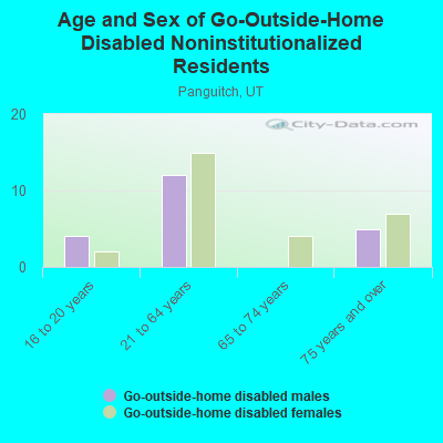 Age and Sex of Go-Outside-Home Disabled Noninstitutionalized Residents