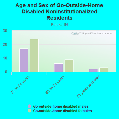 Age and Sex of Go-Outside-Home Disabled Noninstitutionalized Residents