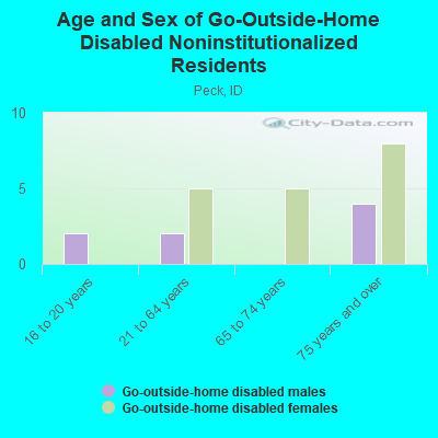 Age and Sex of Go-Outside-Home Disabled Noninstitutionalized Residents