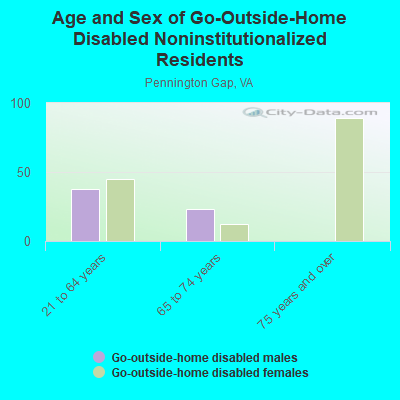 Age and Sex of Go-Outside-Home Disabled Noninstitutionalized Residents