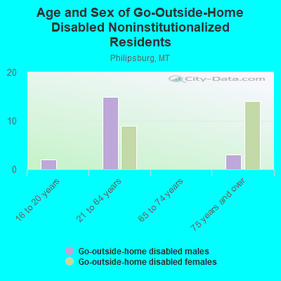 Age and Sex of Go-Outside-Home Disabled Noninstitutionalized Residents