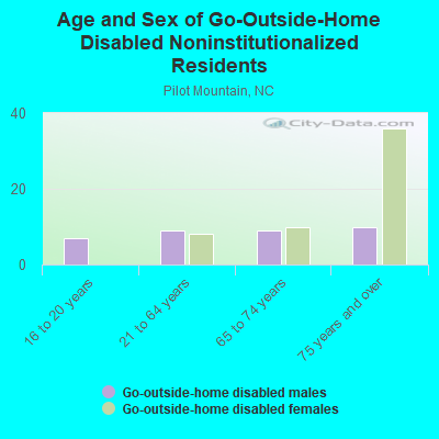 Age and Sex of Go-Outside-Home Disabled Noninstitutionalized Residents