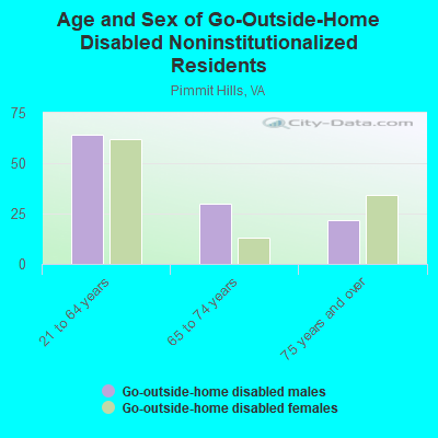 Age and Sex of Go-Outside-Home Disabled Noninstitutionalized Residents