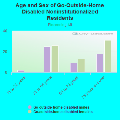 Age and Sex of Go-Outside-Home Disabled Noninstitutionalized Residents