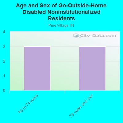 Age and Sex of Go-Outside-Home Disabled Noninstitutionalized Residents