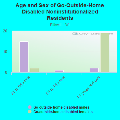 Age and Sex of Go-Outside-Home Disabled Noninstitutionalized Residents