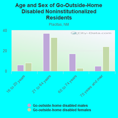 Age and Sex of Go-Outside-Home Disabled Noninstitutionalized Residents