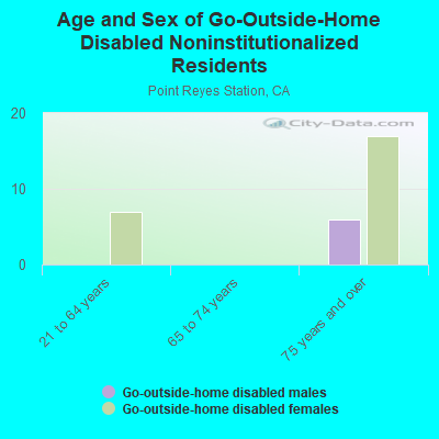 Age and Sex of Go-Outside-Home Disabled Noninstitutionalized Residents