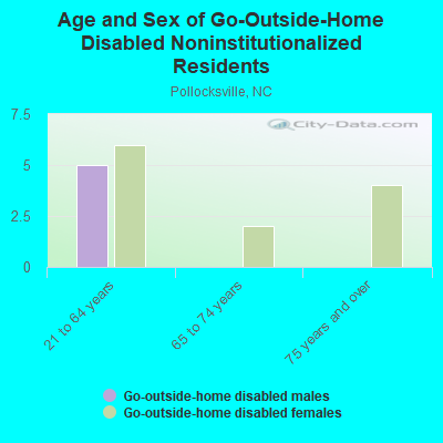 Age and Sex of Go-Outside-Home Disabled Noninstitutionalized Residents