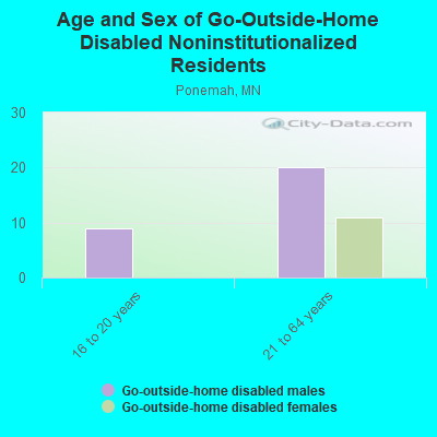 Age and Sex of Go-Outside-Home Disabled Noninstitutionalized Residents