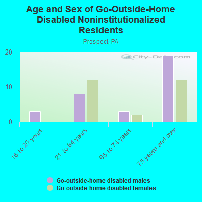 Age and Sex of Go-Outside-Home Disabled Noninstitutionalized Residents