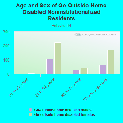 Age and Sex of Go-Outside-Home Disabled Noninstitutionalized Residents