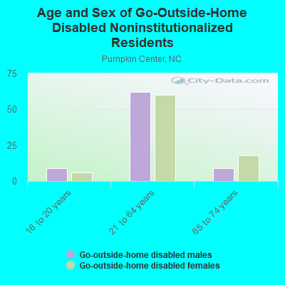 Age and Sex of Go-Outside-Home Disabled Noninstitutionalized Residents