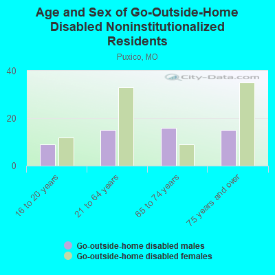 Age and Sex of Go-Outside-Home Disabled Noninstitutionalized Residents