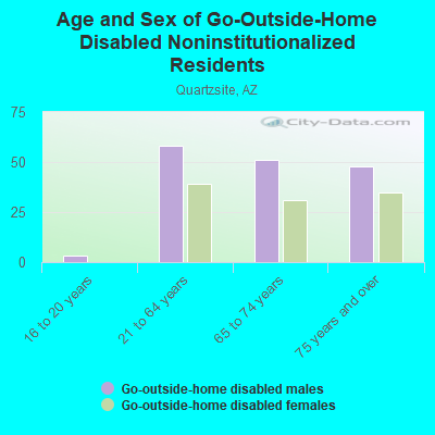 Age and Sex of Go-Outside-Home Disabled Noninstitutionalized Residents