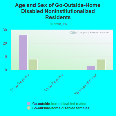 Age and Sex of Go-Outside-Home Disabled Noninstitutionalized Residents