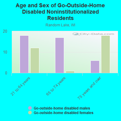 Age and Sex of Go-Outside-Home Disabled Noninstitutionalized Residents