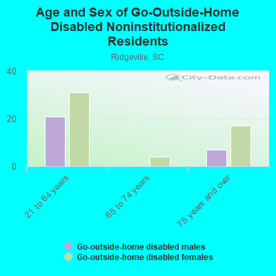 Age and Sex of Go-Outside-Home Disabled Noninstitutionalized Residents