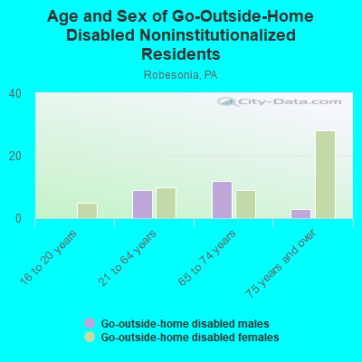 Age and Sex of Go-Outside-Home Disabled Noninstitutionalized Residents