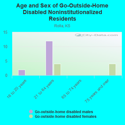 Age and Sex of Go-Outside-Home Disabled Noninstitutionalized Residents