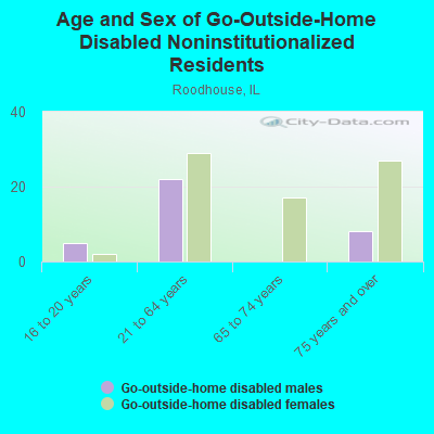 Age and Sex of Go-Outside-Home Disabled Noninstitutionalized Residents