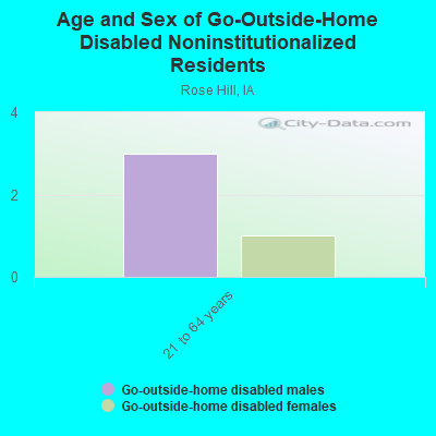 Age and Sex of Go-Outside-Home Disabled Noninstitutionalized Residents