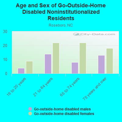 Age and Sex of Go-Outside-Home Disabled Noninstitutionalized Residents