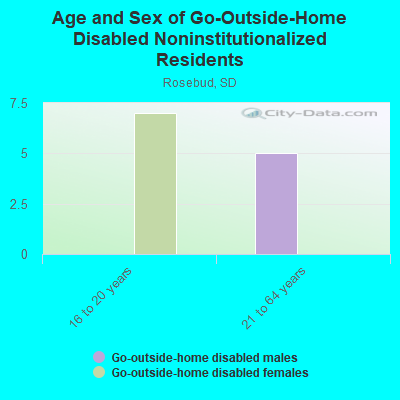 Age and Sex of Go-Outside-Home Disabled Noninstitutionalized Residents