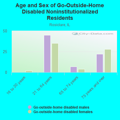 Age and Sex of Go-Outside-Home Disabled Noninstitutionalized Residents