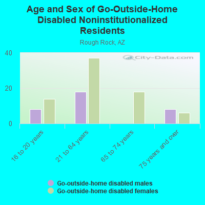 Age and Sex of Go-Outside-Home Disabled Noninstitutionalized Residents