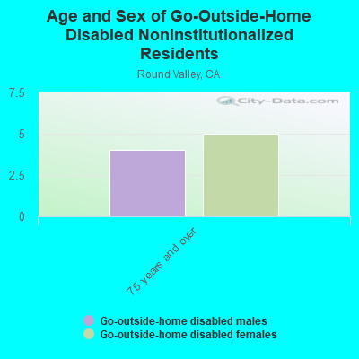 Age and Sex of Go-Outside-Home Disabled Noninstitutionalized Residents