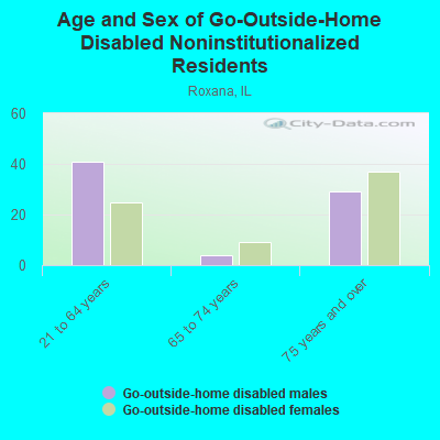 Age and Sex of Go-Outside-Home Disabled Noninstitutionalized Residents