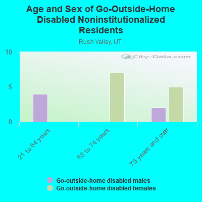 Age and Sex of Go-Outside-Home Disabled Noninstitutionalized Residents