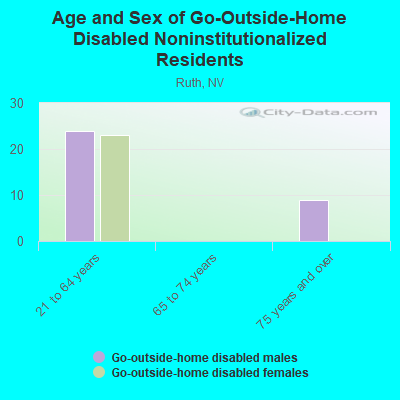 Age and Sex of Go-Outside-Home Disabled Noninstitutionalized Residents