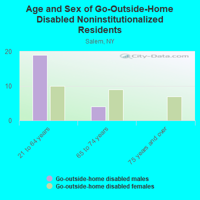 Age and Sex of Go-Outside-Home Disabled Noninstitutionalized Residents