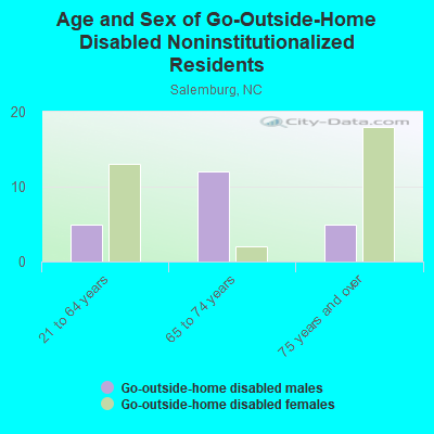 Age and Sex of Go-Outside-Home Disabled Noninstitutionalized Residents