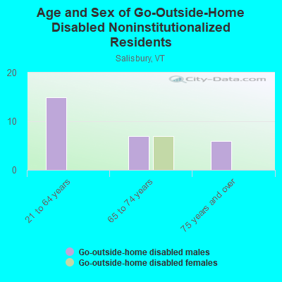 Age and Sex of Go-Outside-Home Disabled Noninstitutionalized Residents