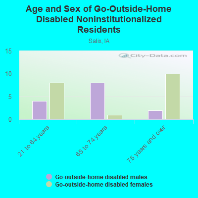 Age and Sex of Go-Outside-Home Disabled Noninstitutionalized Residents