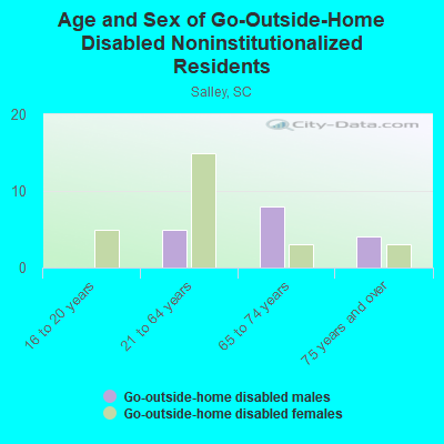 Age and Sex of Go-Outside-Home Disabled Noninstitutionalized Residents