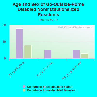 Age and Sex of Go-Outside-Home Disabled Noninstitutionalized Residents