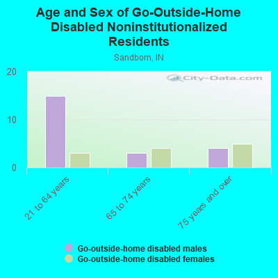 Age and Sex of Go-Outside-Home Disabled Noninstitutionalized Residents