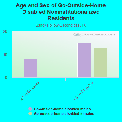 Age and Sex of Go-Outside-Home Disabled Noninstitutionalized Residents