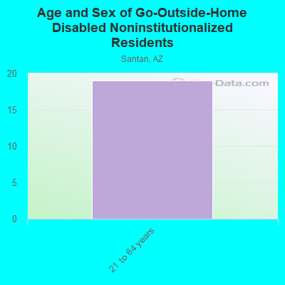 Age and Sex of Go-Outside-Home Disabled Noninstitutionalized Residents