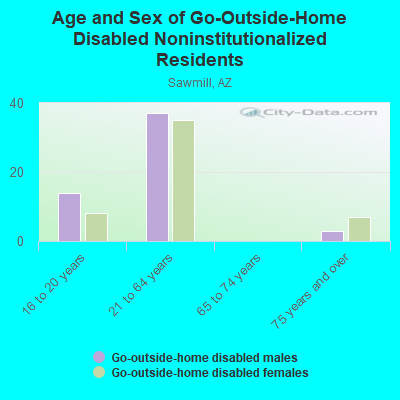 Age and Sex of Go-Outside-Home Disabled Noninstitutionalized Residents