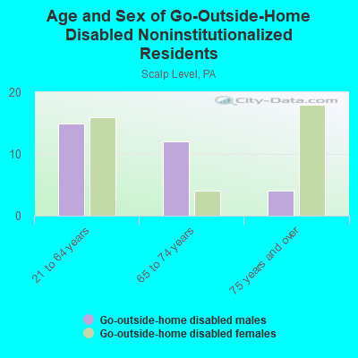 Age and Sex of Go-Outside-Home Disabled Noninstitutionalized Residents