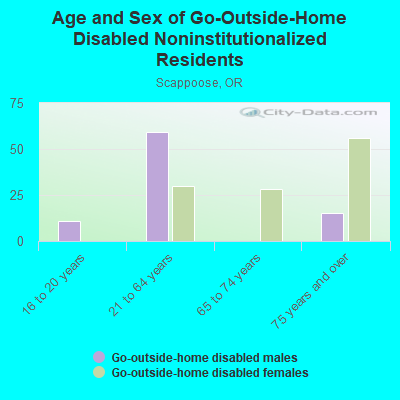 Age and Sex of Go-Outside-Home Disabled Noninstitutionalized Residents