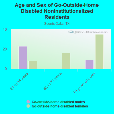 Age and Sex of Go-Outside-Home Disabled Noninstitutionalized Residents