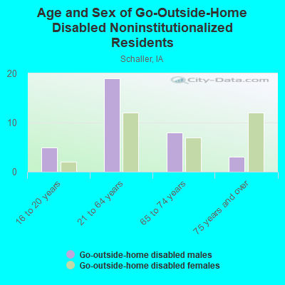 Age and Sex of Go-Outside-Home Disabled Noninstitutionalized Residents